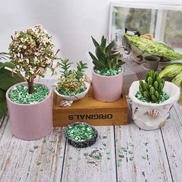 LUCKY BABY Crushed Shells for Crafts, Small Natural Crushed Seashells Pieces Chips, Sea Shells for Decorating Wedding Vase Fillers Beach Weddings Party Home Decor 21oz