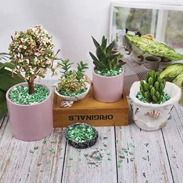 LUCKY BABY Crushed Shells for Crafts, Small Natural Crushed Seashells Pieces Chips, Sea Shells for Decorating Wedding Vase Fillers Beach Weddings Party Home Decor 21oz