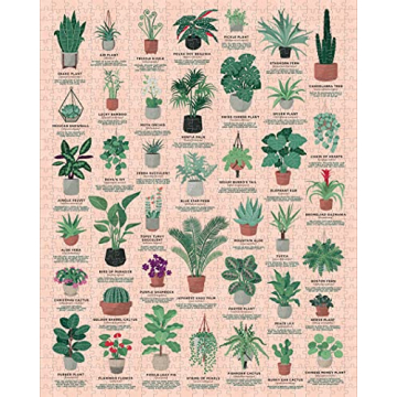 Ridley's House Plants Puzzle: Learn & Create Fun