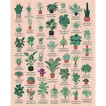 Ridley's House Plants Puzzle: Learn & Create Fun