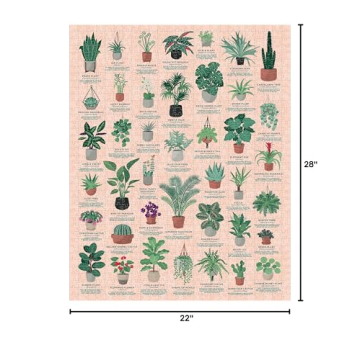 Ridley's House Plants Puzzle: Learn & Create Fun