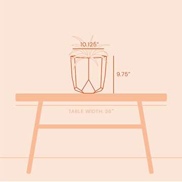 Bloem Tuxton Modern Hexagon Small Planter: 10" - Casper White - Matte Finish, Durable Resin, Modern Design, Optional Drainage Holes, for Indoor and Outdoor Use, Gardening, 2.7 Gallon Capacity