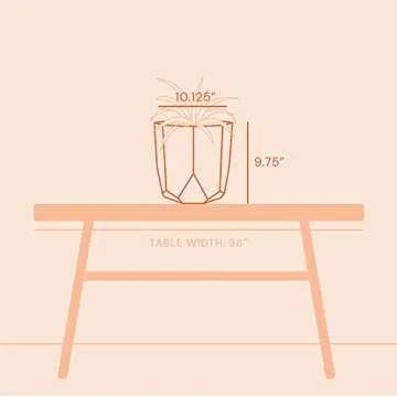 Bloem Tuxton Modern Hexagon Small Planter - Stylish & Durable