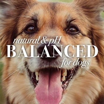 Burt's Bees Shed Control Shampoo for Dogs - 16 oz