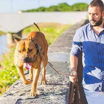 AUROTH Dog Leash Large Dogs, Heavy Duty Dog Leash Bungee, No Pull Dog Leash for Shock Absorption, Desert Camo Dog Training Leashes for Medium Large Breed Dogs 6FT, 2 Padded Handles