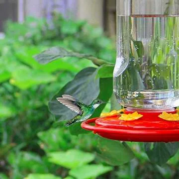 Enchanting Shrdaepe 30 oz. Hummingbird Feeder with 8 Stations