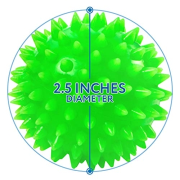 Spiky Sensory Balls - Squeezy, Bouncy Fidget Toys for Everyone