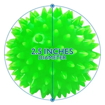 Spiky Sensory Balls - Squeezy, Bouncy Fidget Toys for Everyone
