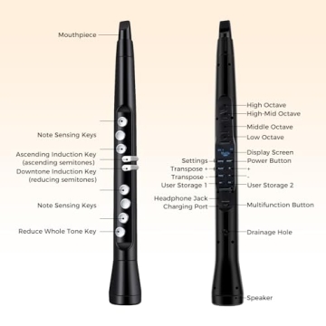 Costzon Electronic Wind Instrument with MIDI & 100 Tones