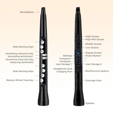 Costzon Electronic Wind Instrument with MIDI & 100 Tones