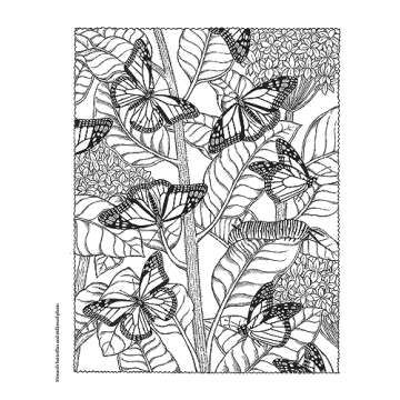 Creative Haven NatureScapes Adult Coloring Book | Unwind Creatively