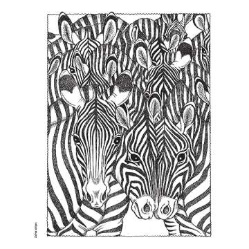 Creative Haven NatureScapes Adult Coloring Book | Unwind Creatively