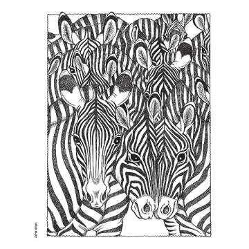 Creative Haven NatureScapes Adult Coloring Book | Unwind Creatively