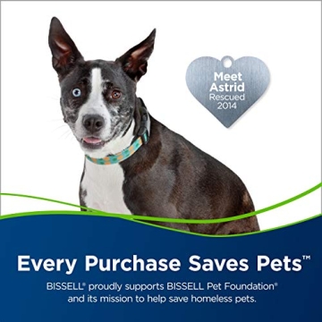 Bissell Pet Hair Eraser Vacuum with Tangle-Free Roll