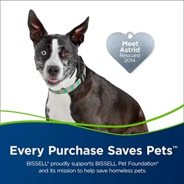 Bissell Pet Hair Eraser Vacuum with Tangle-Free Roll