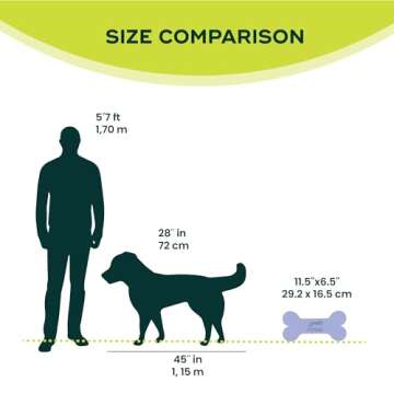 FitPAWS® K9FITbone® - Mini, Razzleberry (Set of 2) | Dog Balance Training Platform & Exercise Equi...