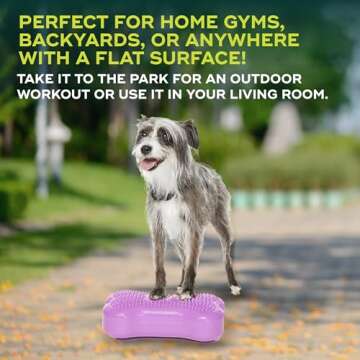 FitPAWS® K9FITbone® - Mini, Razzleberry (Set of 2) | Dog Balance Training Platform & Exercise Equipment | Workout Tool for Strength, Core & Stability