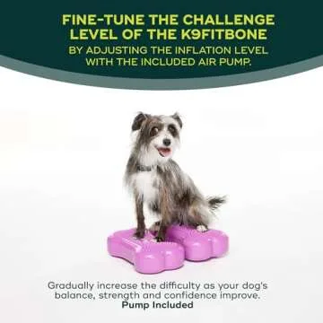 FitPAWS® K9FITbone® - Mini, Razzleberry (Set of 2) | Dog Balance Training Platform & Exercise Equipment | Workout Tool for Strength, Core & Stability