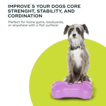 FitPAWS® K9FITbone® - Mini, Razzleberry (Set of 2) | Dog Balance Training Platform & Exercise Equipment | Workout Tool for Strength, Core & Stability