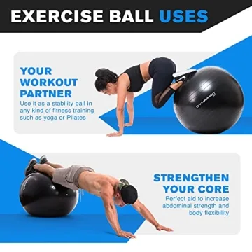 DYNAPRO Exercise Ball Supports 2200lbs with Style