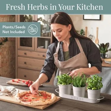 Barnyard Designs Indoor Herb Garden Planter Set