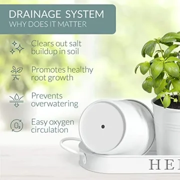 Barnyard Designs Indoor Herb Garden Planter Set