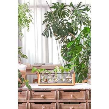 Ivolador Desktop Plant Propagation Stations，Plant Terrarium，Plant Lover Gifts for Women ，Gifts...