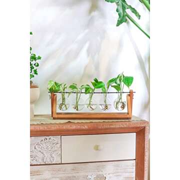 Ivolador Desktop Plant Propagation Stations，Plant Terrarium，Plant Lover Gifts for Women ，Gifts for mom， for Hydroponics Plants Home Garden Wedding Decor (5 Bulbs)