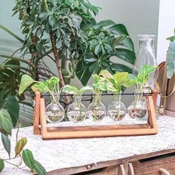 Ivolador Desktop Plant Propagation Stations，Plant Terrarium，Plant Lover Gifts for Women ，Gifts for mom， for Hydroponics Plants Home Garden Wedding Decor (5 Bulbs)