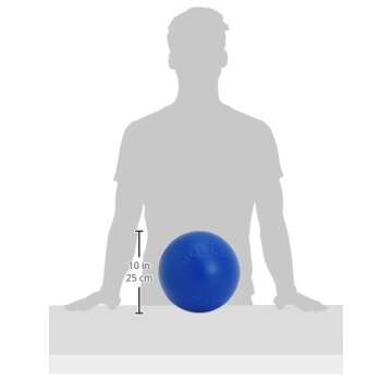 Durable Jolly Pets Push-n-Play Ball for Medium Dogs