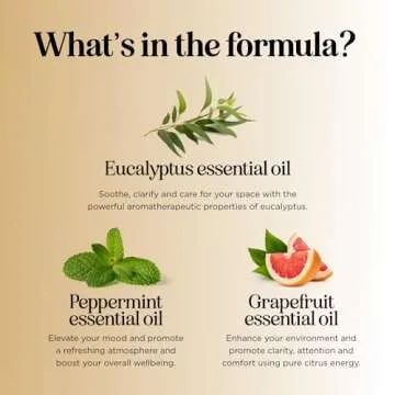 Focus Essential Oil Blend - Citrus and Mint to Boost Attention