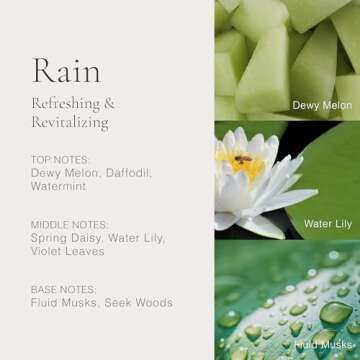 CLEAN CLASSIC Eau de Parfum Rollerball Fragrance Gift Set | Light, Layerable Fragrance | Vegan, Phthalate-Free, & Paraben-Free | Travel Size