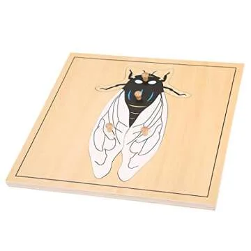 MEYOR Montessori Fly Puzzle for Preschool Learning Toy