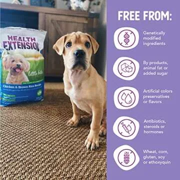 Health Extension Little Bites Chicken & Brown Rice Dry Dog Food (10 lb / 4.5 Kg) - Natural with Probiotics and Superfoods for Teacup, Toy & Small Breeds