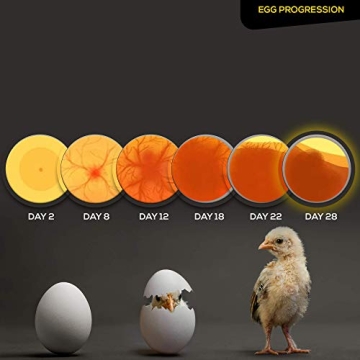 HatchMate™ Egg Incubator - Automatic Turning for 9-12 Eggs