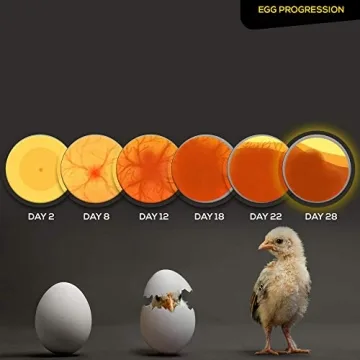 HatchMate™ Egg Incubator - Automatic Turning for 9-12 Eggs