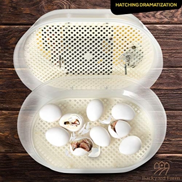 HatchMate™ Egg Incubator - Automatic Turning for 9-12 Eggs
