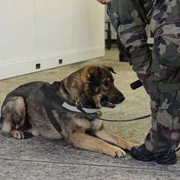 Bolux Dog Harness, No-Pull Reflective Dog Vest, Breathable Adjustable Pet Harness with Handle for Outdoor Walking - No More Pulling, Tugging or Choking (Black, L)