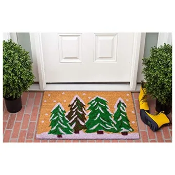 Calloway Mills 122251729 Winter Wonderland Doormat, 17" x 29", Multicolor