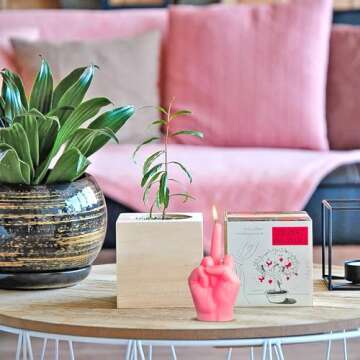 6sisc Middle Finger Scented Candle Hot Pink Danish Pastel Room Aesthetic Decor Pine Fragrance Candles Natural Vegan Soy Wax Hand Gesture Aromatherapy Candle for Home Bedroom Decoration Birthday Gifts