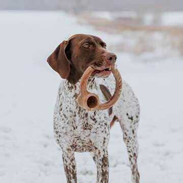 Lumabone Ring Stuffer Durable Chew Toy for Aggressive Chewers, Dog Toys for Aggressive Chewers, Dog ...