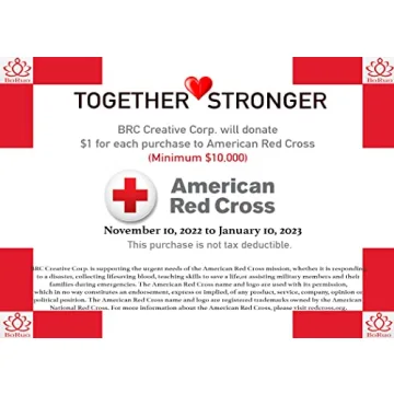 BoRuo 925 Sterling Silver Teardrop Earrings for Women