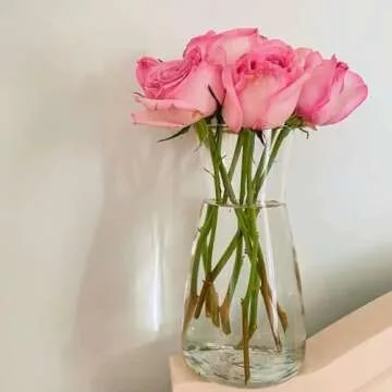 DARENYI Clear Glass Vase for Centerpieces, 8 inch Tall Glass Vase Home Decor, Large Glass Flower Vase for Bouquet, Modern Decorative Vase for Shelf, Centerpiece, Living Room, Office, Wedding or Gifts