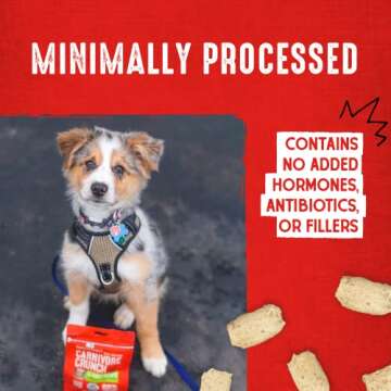Stella & Chewy's Freeze-Dried Raw Carnivore Crunch Grass-Fed Beef Recipe Dog Treats – 3.25 oz. Bag