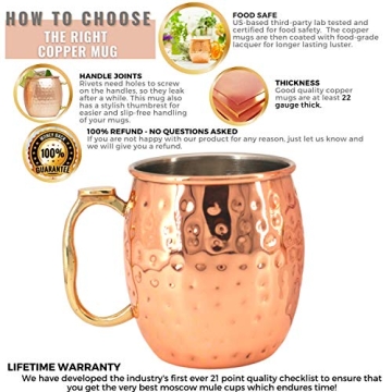 Kitchen Science Moscow Mule Mugs Gift Set for Entertaining