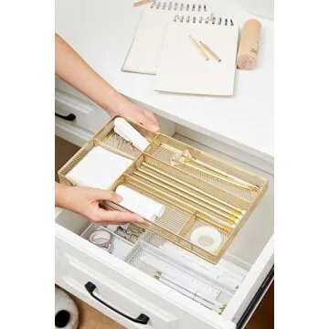 Annova Desk Drawer Organizer Tray for Office Organization - Metal Mesh - Storage Tray with Dividers for Pens, Desktop Accessories, Bathroom, Kitchen, Makeup and Office Supplies (Small, Gold)