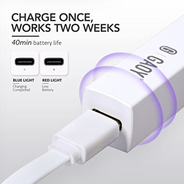 GAOY Handheld UV Light for Gel Nails - Portable Nail Dryer