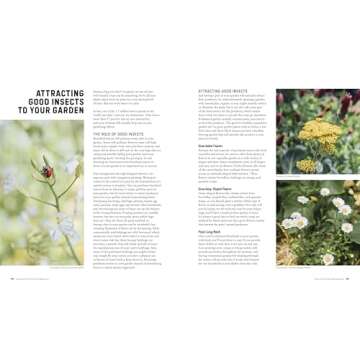 Companion Planting for Beginners: Pair Your Plants for a Bountiful, Chemical-Free Vegetable Garden