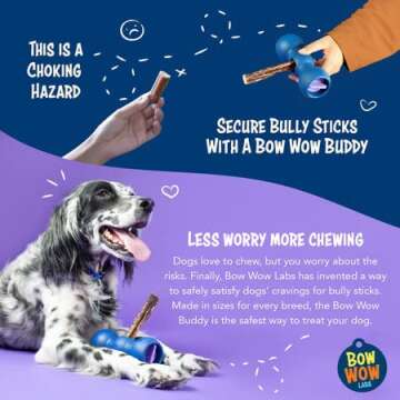 Bow Wow Labs Bow Wow Buddy Starter Kit - Anti-Choking Bully Stick Safety Device for Dogs (Small)