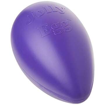 Jolly Pets Jolly Egg Dog Toy, 12 Inches/Large, Purple
